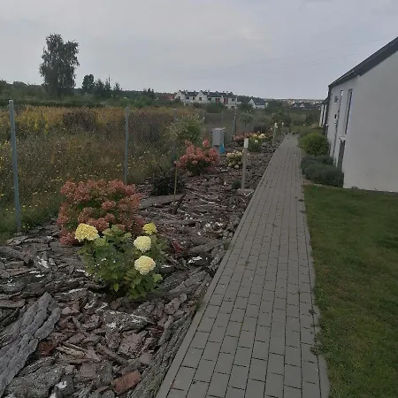 Lawendowe Wzgórze Zastan