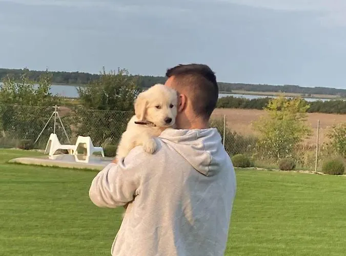 Lawendowe Wzgórze Zastan